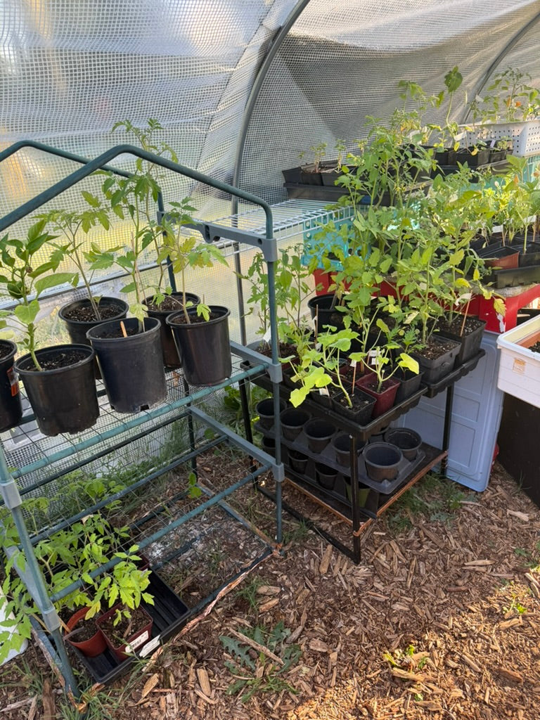 Plant CSA Membership